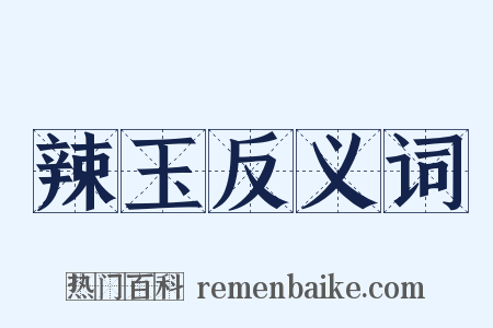 辣玉反义词是什么意思的图片